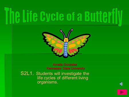 Amelia Gonzalez Amelia Gonzalez Kennesaw State University S2L1. Students will investigate the life cycles of different living organisms.