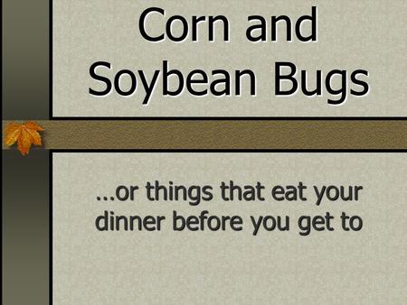 Corn and Soybean Bugs …or things that eat your dinner before you get to.