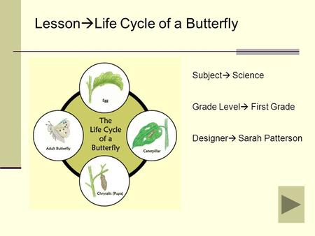 Subject  Science Grade Level  First Grade Designer  Sarah Patterson Lesson  Life Cycle of a Butterfly.