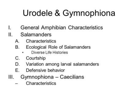 Urodele & Gymnophiona General Amphibian Characteristics Salamanders