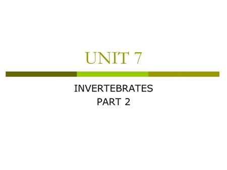 UNIT 7 INVERTEBRATES PART 2.
