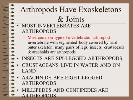 Arthropods Have Exoskeletons & Joints