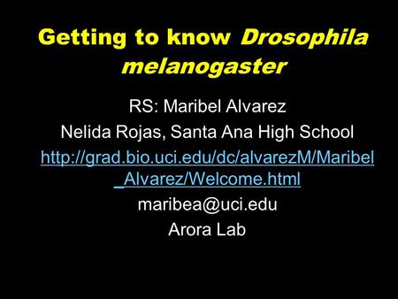 Getting to know Drosophila melanogaster RS: Maribel Alvarez Nelida Rojas, Santa Ana High School  _Alvarez/Welcome.html.