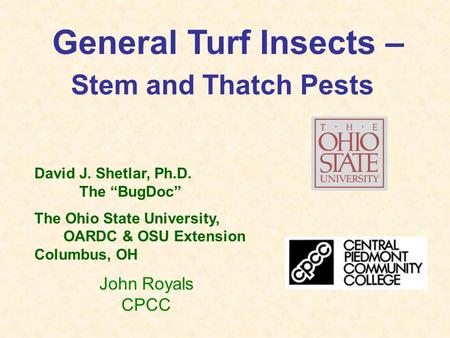 General Turf Insects – Stem and Thatch Pests David J. Shetlar, Ph.D. The “BugDoc” The Ohio State University, OARDC & OSU Extension Columbus, OH John Royals.