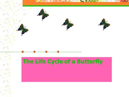 The Life Cycle of a Butterfly. The learner will: be able to name and identify the four stages of a butterfly’s life cycle write a paragraph addressing.
