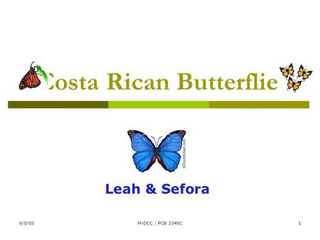 6/5/03M-DCC / PCB 2340C1 Costa Rican Butterflies Leah & Sefora.