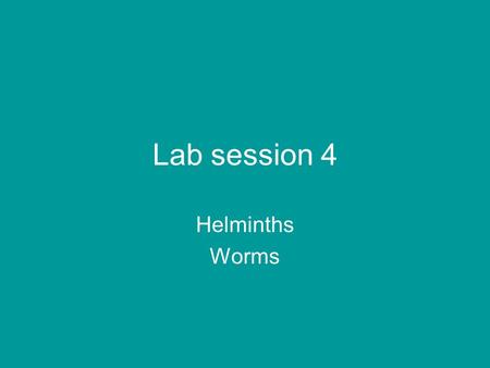 Lab session 4 Helminths Worms.