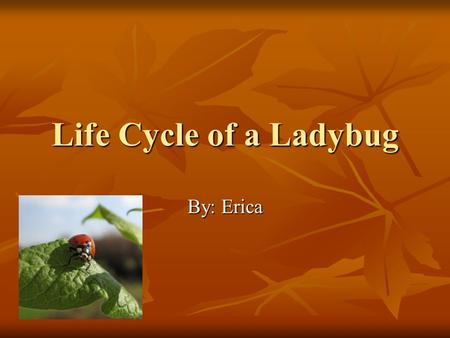 Life Cycle of a Ladybug By: Erica Egg Stage 1 Interesting Facts: They are small, oval, and pale yellow May produce 1,000 eggs Emerges in about in 4 days.