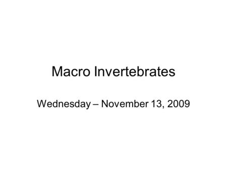 Macro Invertebrates Wednesday – November 13, 2009.