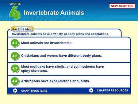 Invertebrate Animals 4.1 Most animals are invertebrates. 4.2
