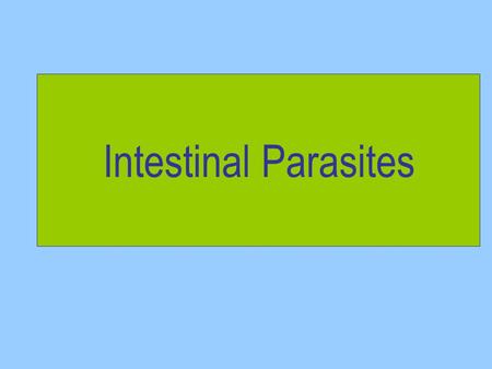 Intestinal Parasites.