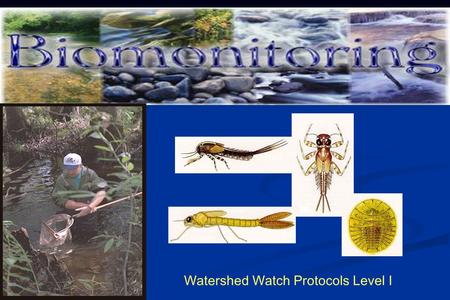 Watershed Watch Protocols Level I. Goals for this module Understand how biomonitoring is used to evaluate the health of a stream Understand how biomonitoring.