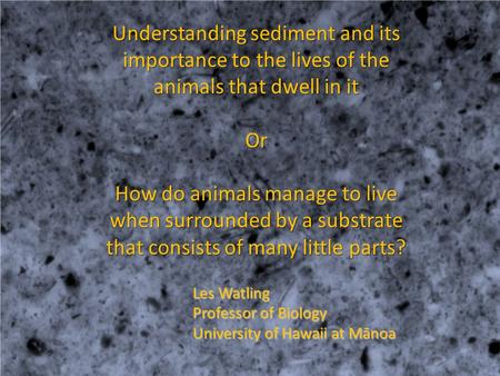 Understanding sediment and its importance to the lives of the animals that dwell in it Or How do animals manage to live when surrounded by a substrate.
