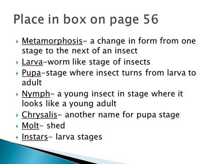  Metamorphosis- a change in form from one stage to the next of an insect  Larva-worm like stage of insects  Pupa-stage where insect turns from larva.