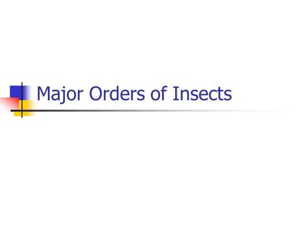 Major Orders of Insects. 1. Grasshopper, cricket, roach, mantid 2. true bug 3. cicadas or leaf or plant hopper 4. beetle 5. fly 6. ant, bee or wasp 7.