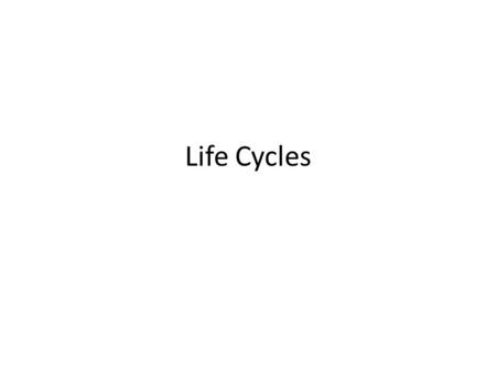Life Cycles.