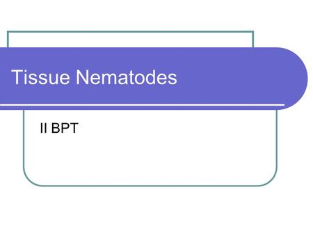 Tissue Nematodes II BPT.