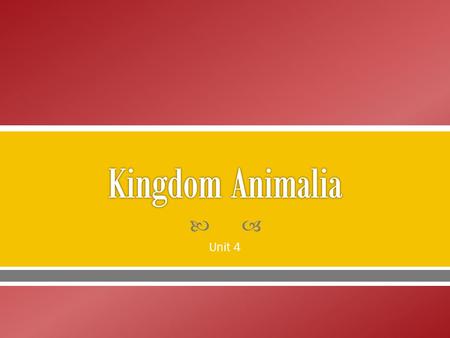 Kingdom Animalia Unit 4.