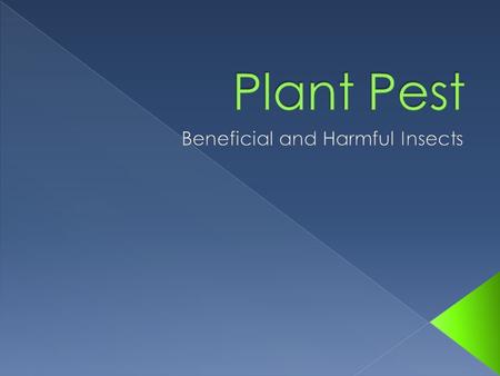Beneficial and Harmful Insects