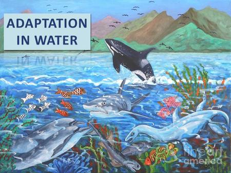 ADAPTATION IN WATER.