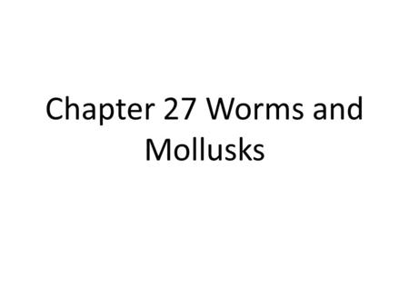Chapter 27 Worms and Mollusks