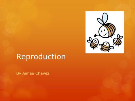 Reproduction By Aimee Chavez. Sexual Vs. Asexual  Sexual reproduction: ( Meiosis) 2 parents and one or many offspring with genetic diversity  Examples: