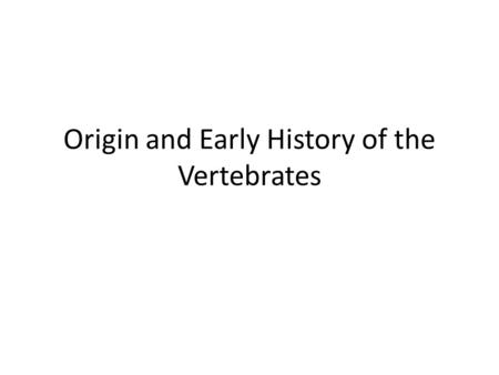 Origin and Early History of the Vertebrates. The Protochordates as Ancestors Some living chordate groups may resemble the primitive vertebrate ancestors.