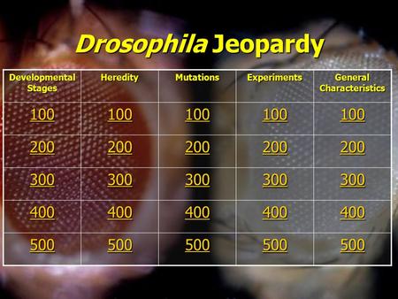 Drosophila Jeopardy Developmental Stages HeredityMutationsExperiments General Characteristics 100 200 300 400 500.