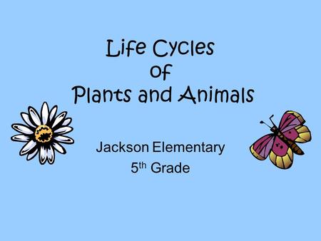 Life Cycles of Plants and Animals Jackson Elementary 5 th Grade.