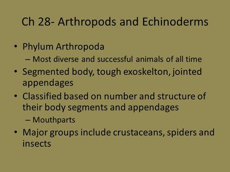 Ch 28- Arthropods and Echinoderms