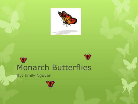 Monarch Butterflies By: Emily Nguyen. Where do monarch butterflies live? They migrate south to Florida, Southern California and Mexico for the winter.