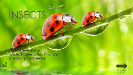 INSECTS Corinne Savignano Grade: Kindergarten, 1 st and 2 nd Environmental Science Click here to continue!