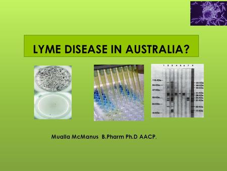 LYME DISEASE IN AUSTRALIA?