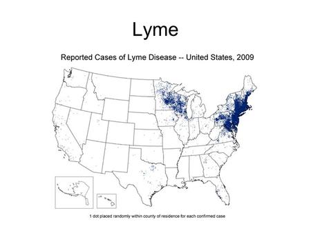 Lyme. SEM Darkfield Lyme outer membrane lipoproteins Bacterial outer membrane.