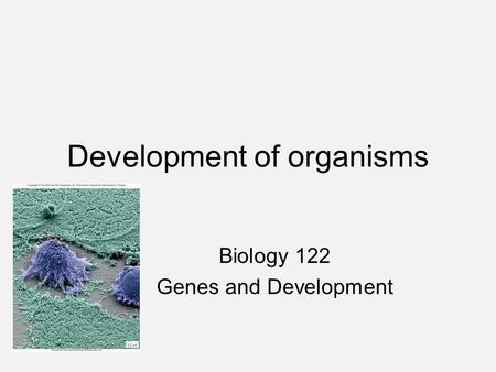 Biology 122 Genes and Development Development of organisms.