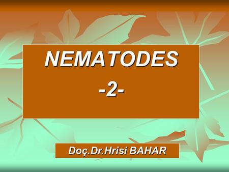 NEMATODES -2- Doç.Dr.Hrisi BAHAR.