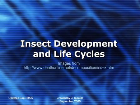 Updated Sept. 2005Created by C. Ippolito September, 2005 Insect Development and Life Cycles Insect Development and Life Cycles Images from