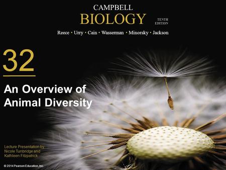 32 An Overview of Animal Diversity