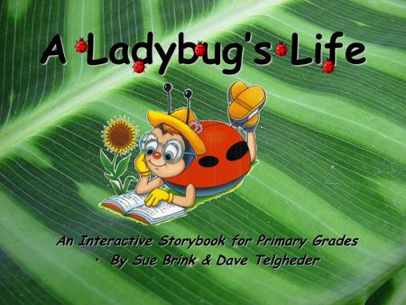 A Ladybug’s Life An Interactive Storybook for Primary Grades By Sue Brink & Dave TelghederBy Sue Brink & Dave Telgheder.