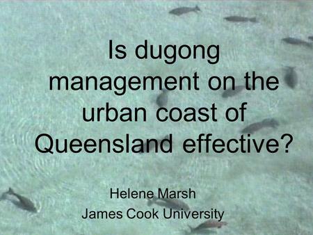 Is dugong management on the urban coast of Queensland effective? Helene Marsh James Cook University.