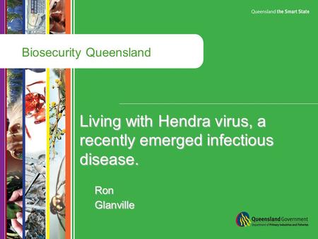 Biosecurity Queensland Living with Hendra virus, a recently emerged infectious disease. Ron Glanville.