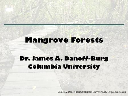 Mangrove Forests Dr. James A. Danoff-Burg Columbia University