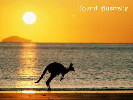 Tour d ’Australie Pinnacles - Western Australia.