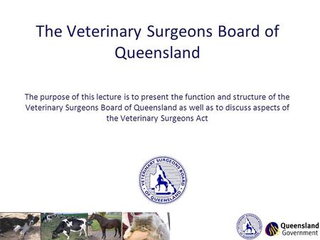 The Veterinary Surgeons Board of Queensland The purpose of this lecture is to present the function and structure of the Veterinary Surgeons Board of Queensland.