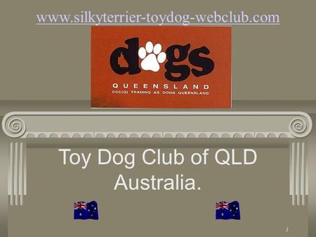 www.silkyterrier-toydog-webclub.com Toy Dog Club of QLD Australia. 1.