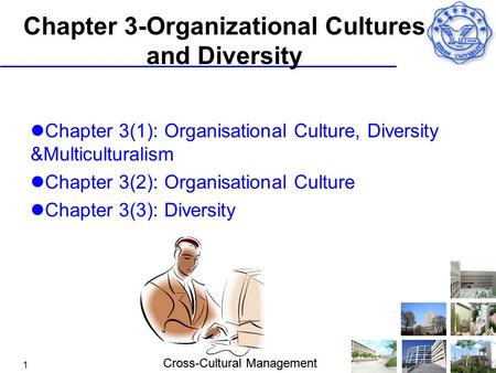 Chapter 3-Organizational Cultures and Diversity