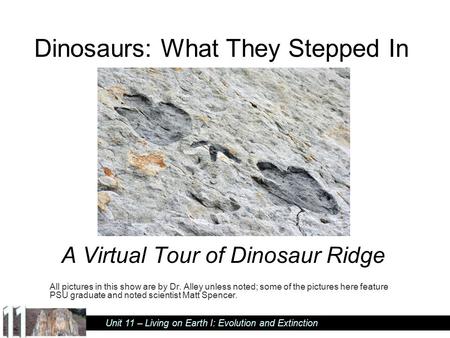 Dinosaurs: What They Stepped In