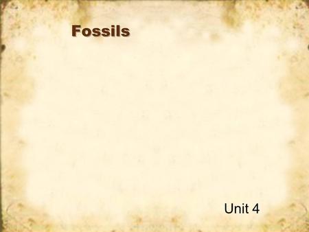 Fossils Unit 4 What are fossils? Fossils are the petrified remains of ancient objects. Petrified – means turned to stone. Ancient – means very, very.