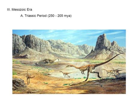 III. Mesozoic Era A. Triassic Period (250 - 205 mya)