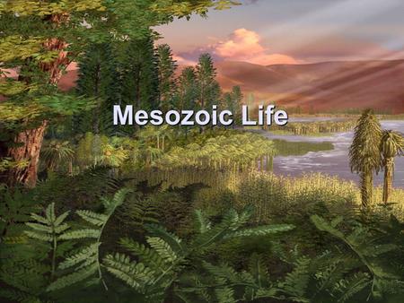 Mesozoic Life. Life of the Mesozoic Era Age of Reptiles –most diverse and abundant land dwellers Mammals appear Birds appear Flowering plants appear Some.